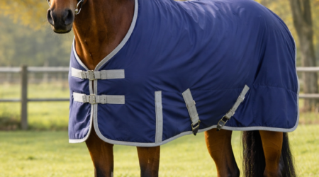 beste paardendeken