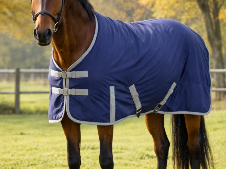 beste paardendeken