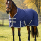 beste paardendeken